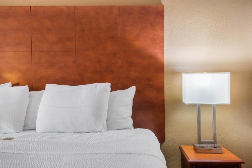 La Quinta Inn & Suites by Wyndham Decatur image 9